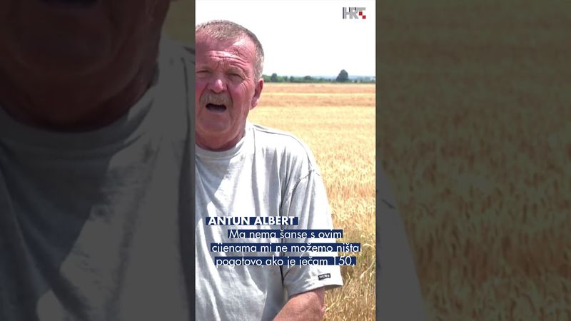Počela žetva ječma: Poizvođači zabrinuti zbog niske otkupne cijene