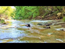 RC Car Traxxas TRX4 Ford Bronco Rock Trail Water Cross Bash