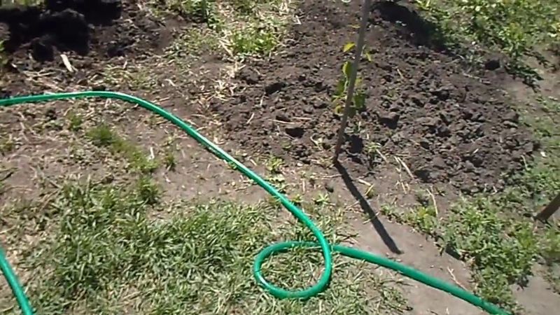 В  Железов   Весенне летняя серия   ``Прогулки по саду``   9