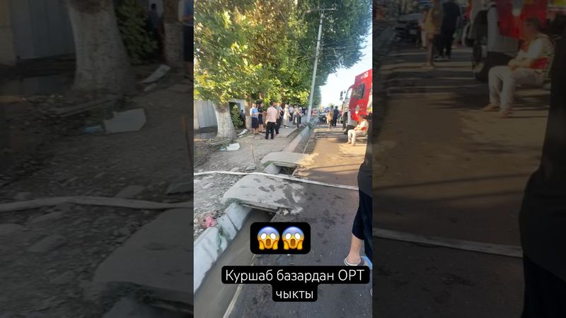 Куршаб  орт чыкты