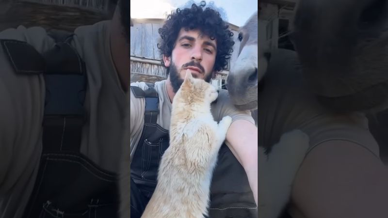 Фермер и его животные #юмор #прикол #shortvideo #shorts #relax