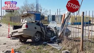 ДТП. Два Барана на Дороге! Торопыги и Водятлы Май