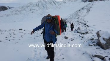 Roping up as a safety precaution while pushing through deep snow en route top of Kalindi Khal Pass