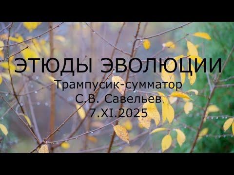 С.В. Савельев - Этюды эволюции. Трампусик-сумматор.