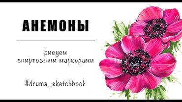 АНЕМОН / рисуем спиртовыми маркерами