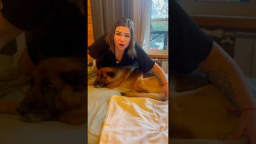 Наша собака родила троих щенят..🫢🙆🏼‍♂️🐶