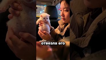 Важнейшая новость за сегодня: