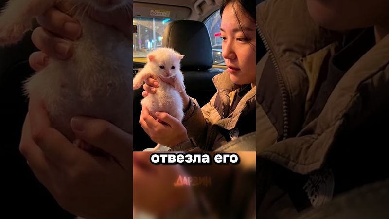 Важнейшая новость за сегодня: