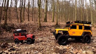 RC model scale 1/8  DF 4J XXL RC