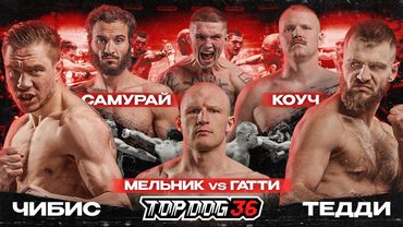 Chibis VS Teddy, Samurai VS Coach, Melnik VS Gatti | TOP DOG 36, Saint Petersburg