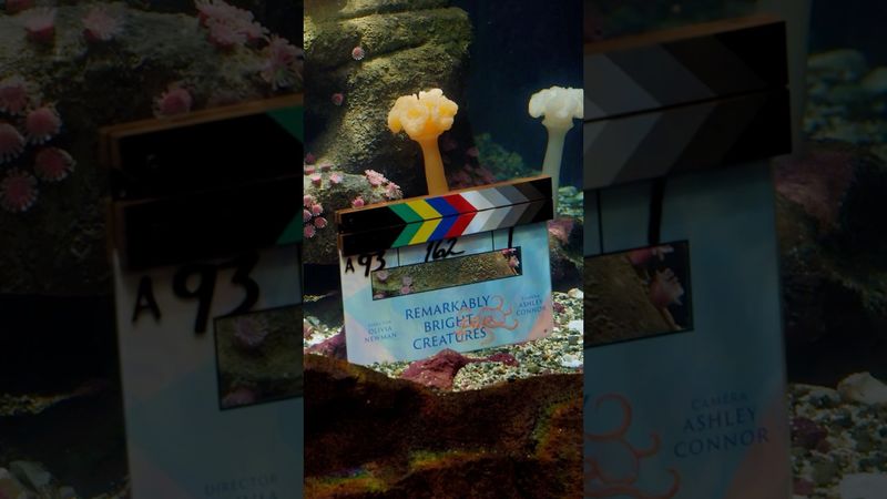 that's a wrap on Remarkably Bright Creatures 🐙