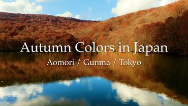Autumn Colors in Japan 4K / Aomori / Gunma / Tokyo