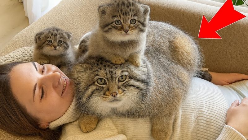 Dia tumbuh besar di pelukanku… Sekarang dia membawa keluarganya! Kupikir dia kabur, tapi dia memb...