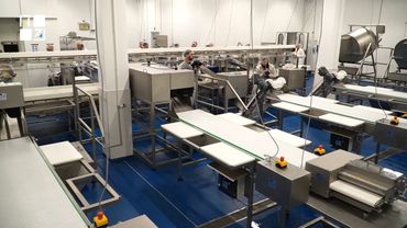 На Львівщині відкрили найбільший завод із переробки риби у Східній Європі