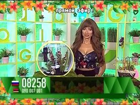 Ольга Козина - "Счастливый час" (22.06.16)