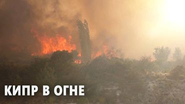 На Кипре лесной пожар уничтожил десятки домой, есть жертвы