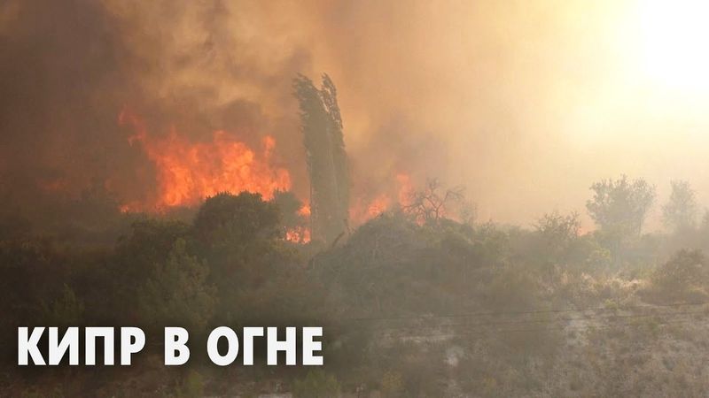 На Кипре лесной пожар уничтожил десятки домой, есть жертвы