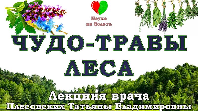 ЖЕНСКИЙ ЗОЛОТОЙ ГОРМОН из ЛЕСА! -||- ЛУЧШИЕ ТРАВЫ ВЕСНЫ — ЧЕМ ЗАМЕНИТЬ ТАБЛЕТКИ