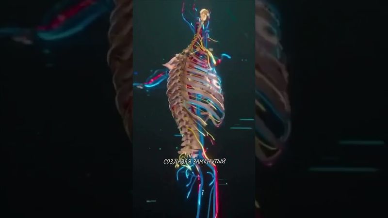 Ловушка для души