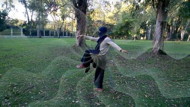 Pases Mágicos silvestres