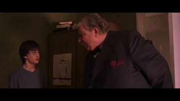 КАКОГО ДЬЯВОЛА ТЫ ЗДЕСЬ ШУМИШЬ!   Гарри Повар