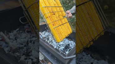 «Зай! Диви, скільки я кукурудзи принесла, приготуєш?»Ну що ж, готуємо кукурудзу-гриль🌽