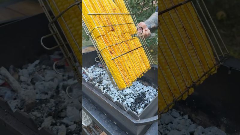 «Зай! Диви, скільки я кукурудзи принесла, приготуєш?»Ну що ж, готуємо кукурудзу-гриль🌽