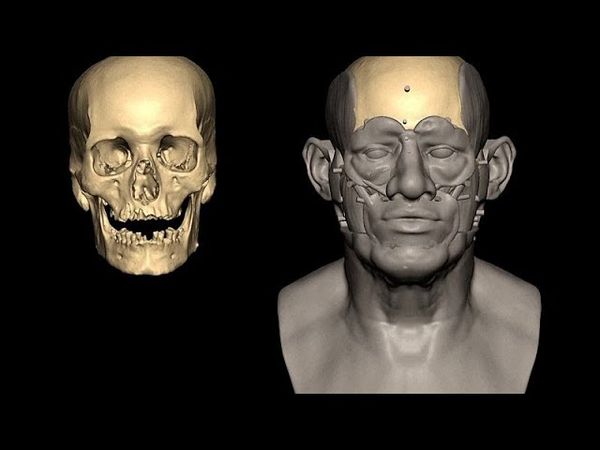 DNA analysis from 4,600-year-old skeleton uncovers hidden link between Egypt and Mesopotamia