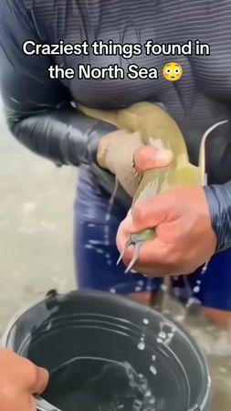 #northsea #fear #dangerous #scarynature 