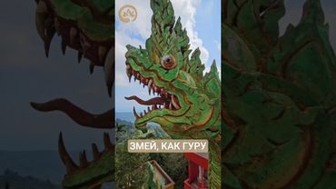 Жизненные уроки - как их пройти?#саморазвитие #философскиемысли #веды #romanteos #shortvideo