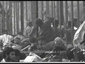 अयोध्या बाबरी मस्जिद विध्वंस - दुर्लभ अभिलेखीय फुटेज