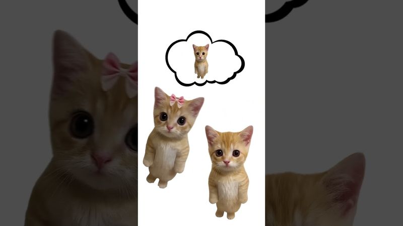 7 минусов отношений с девушкой? Кисы объясняют 😻