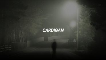 cardigan - taylor swift (tiktok version, slowed + reverb)