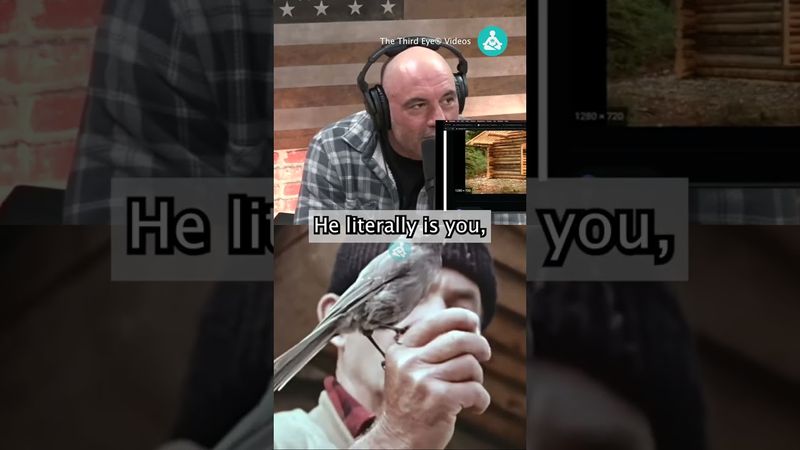 The Mountain Man Richard Proenneke ⛰