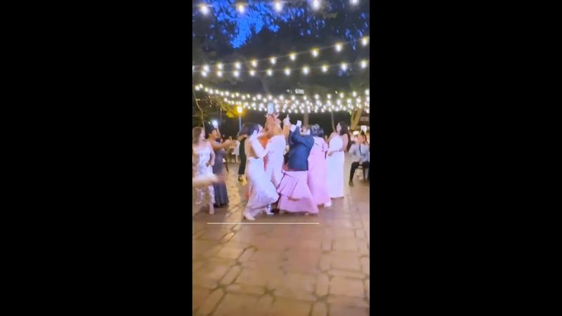 Bride tosses viral toy instead of bouquet of flowers at wedding