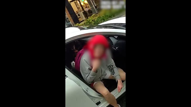 QLD woman allegedly steals car with therapy dog inside