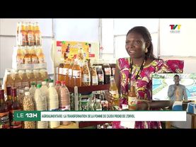 TVT  JT 13H DU SAMEDI 14 JUIN 2025