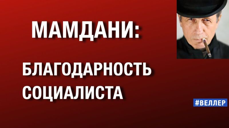 МАМДАНИ:  БЛАГОДАРНОСТЬ  СОЦИАЛИСТА.  ИЛЛЮЗИИ  ОВЕЦ. #веллер   23 11 2025