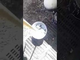 La lavadora del Soldado, la famosa "Chacha-Chaca"