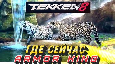 ГДЕ ПРОПАДАЕТ  ARMOR KING TEKKEN 8