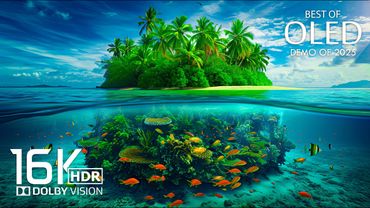 Amazing Dolby Atmos -  Best OLED Dolby Vision Demo 16K HDR Video ULTRA HD 120FPS