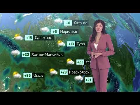 Погода в России на 13.07.2023 чт.