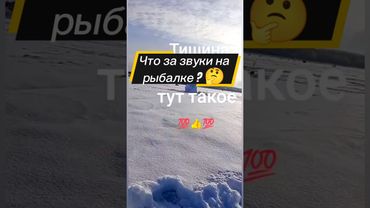 Было ? 😂 #рыбалка #fishing #зимняярыбалка #рыба #щука #рыбак