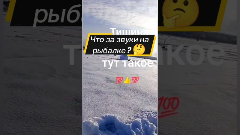 Было ? 😂 #рыбалка #fishing #зимняярыбалка #рыба #щука #рыбак