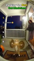 Which Cat Is the Best Musician? 🐱🎶 #SORA #cat #musica#funnytiktok #ra...