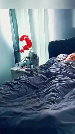 Try not to laugh 😂😂😂 #funny #animals #funnypets #funnyanimals #catsof...