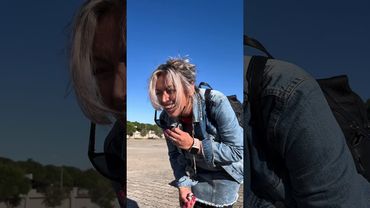 Yavru kedi nasılda taklit ediyor kaplumbağayı🙃🙃🙃🙃😻😻😻