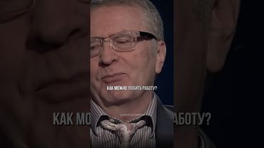 КАК МОЖНО ЛЮБИТЬ РАБОТУ? — Владимир Жириновский