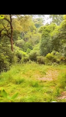 Rustic, building, woodworking, resin 