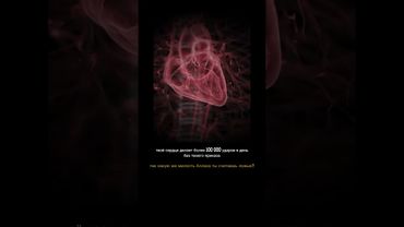 Какую милость Аллаха ты отрицаешь?#куран #ислам #аят #милостьАллаха #напоминание #душа #shorts